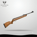 GAMO BIGCAT HUNTER AIR RIFLE